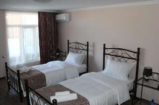 Отель Hotel Suliko Ахалцихе Двухместный номер с 2 отдельными кроватями и ванной комнатой-5