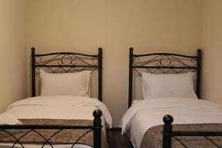 Отель Hotel Suliko Ахалцихе Стандартный двухместный номер с 2 двуспальными кроватями-5